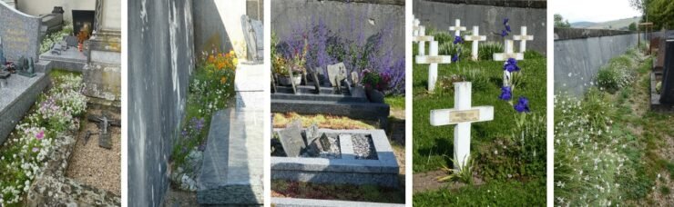 Le replay de la présentation du projet de requalification paysagère et végétalisation du cimetière de MANDRES-SUR-VAIR (88) est disponible